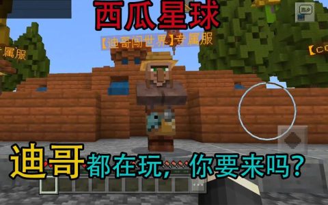 迪哥在哪个服务器上玩的游戏叫什么名字？