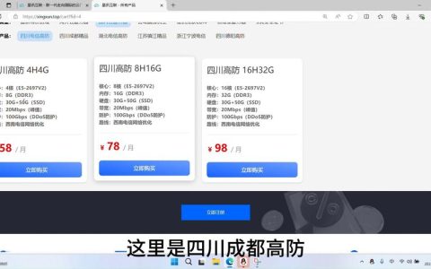 如何查询服务器域名及其意义？