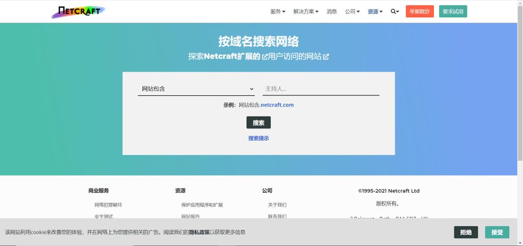 服务器域名是什么意思呀怎么查