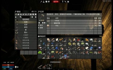 阿黑究竟玩的是哪款服务器游戏？