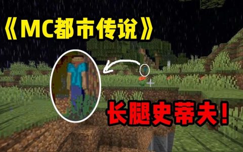 长腿史蒂夫服务器的名字是什么？