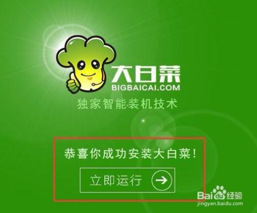 大白菜装机在哪里下载
