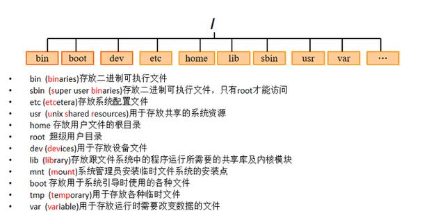 linux服务器root目录一般放什么