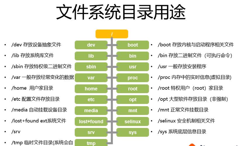 linux服务器root目录一般放什么