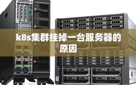 在Kubernetes集群中，服务器是如何定义和使用的？