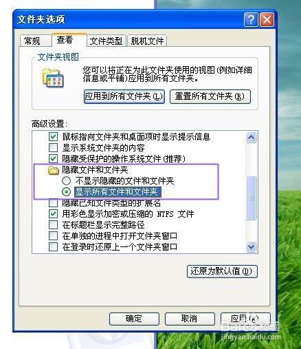 xp系统隐藏文件在哪里