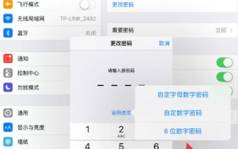 如何查看iPad的服务器设置和账户密码信息？