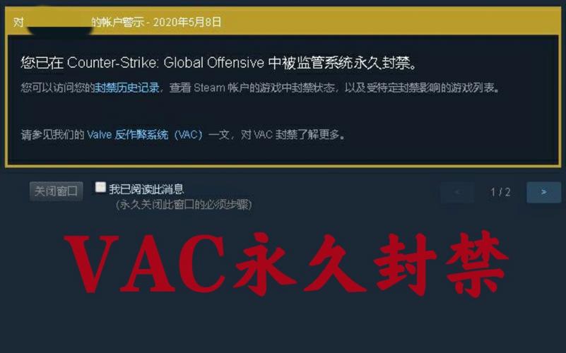 vac被禁止使用安全服务器什么意思