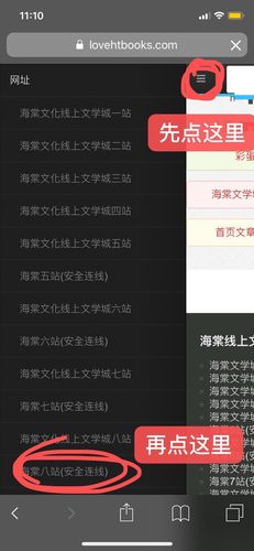 海棠龙马盗文在哪里看