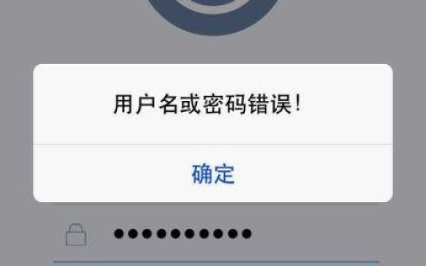 无法连接到服务器时，我该检查哪些可能的问题？