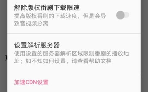 什么是B站漫游解析服务器及其功能？