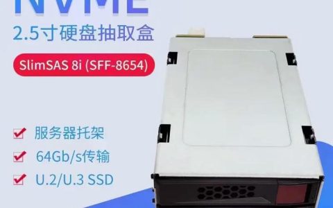 为什么服务器通常配备两个硬盘?