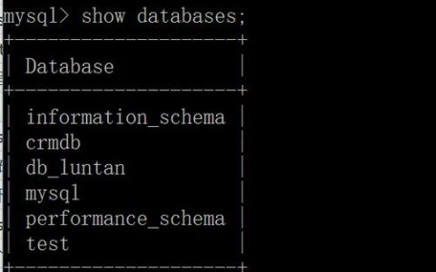 如何正确使用MySQL的INSERT INTO语句进行数据插入？