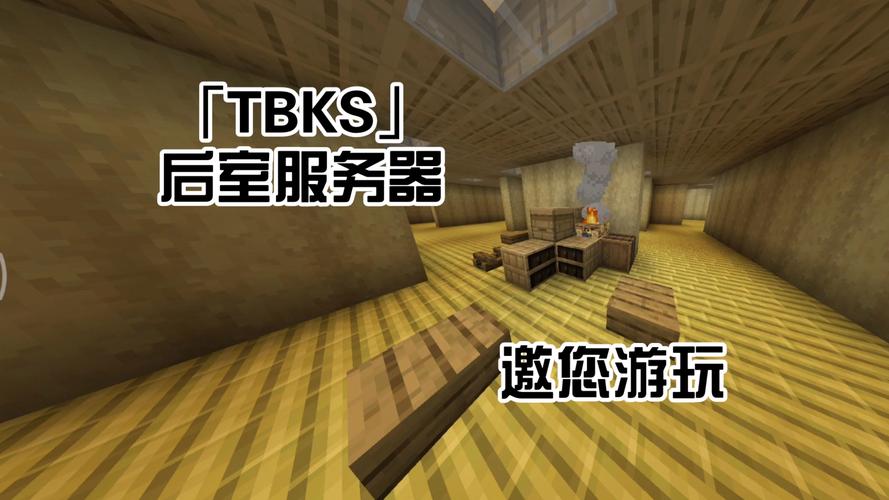 我的世界单线服务器有什么用