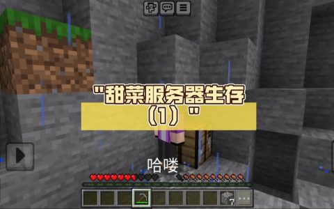 甜菜的两个服务器具体指代哪些功能？