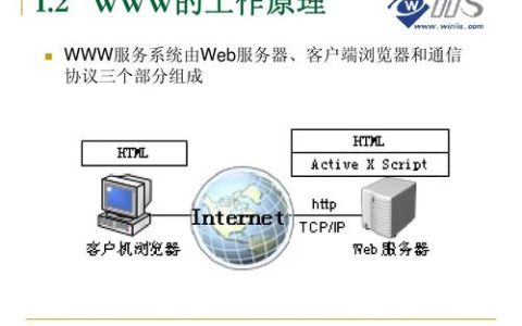 万维网服务器扮演着怎样的关键角色？