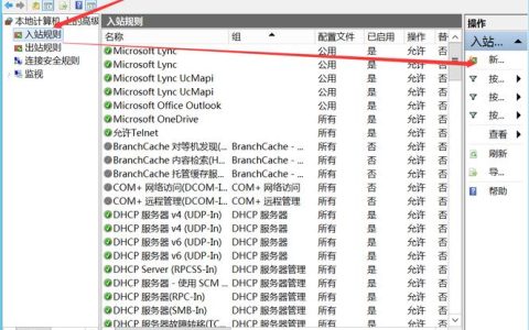 Windows系统在尝试连接服务器端口时遇到哪些常见挑战?