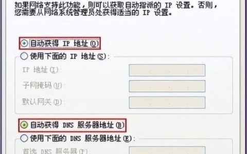 为何无法成功添加服务器IP地址？