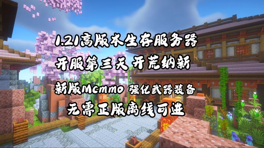mc服务器客户端优化_MC自定义策略