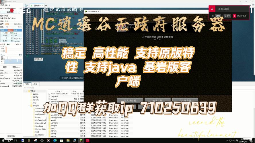 mc服务器客户端优化_MC自定义策略