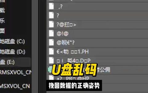 如何检查并处理U盘出现的乱码问题？