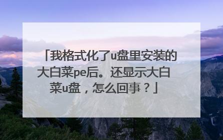 大白菜PE流氓在哪里