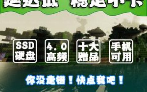 如何选择合适的MC服务器租用网站并定制个性化策略？