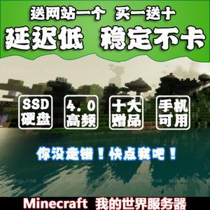 mc服务器租用网站_MC自定义策略