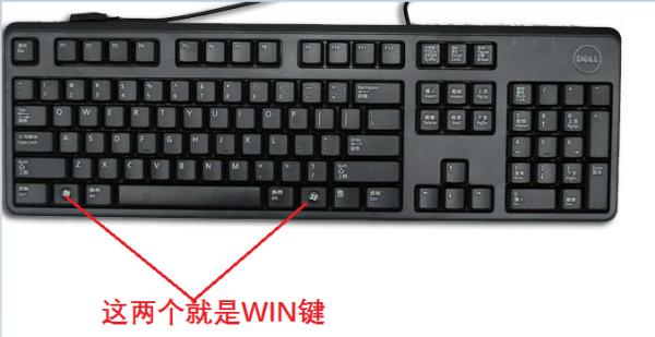 计算机win键在哪里