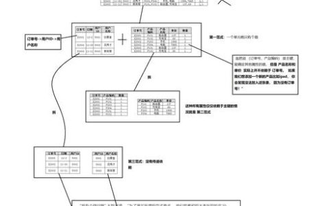 MySQL数据库中的三范式具体指的是什么？