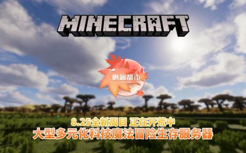 如何有效配置和管理1.12.2版本的MC服务器以实现自定义策略？