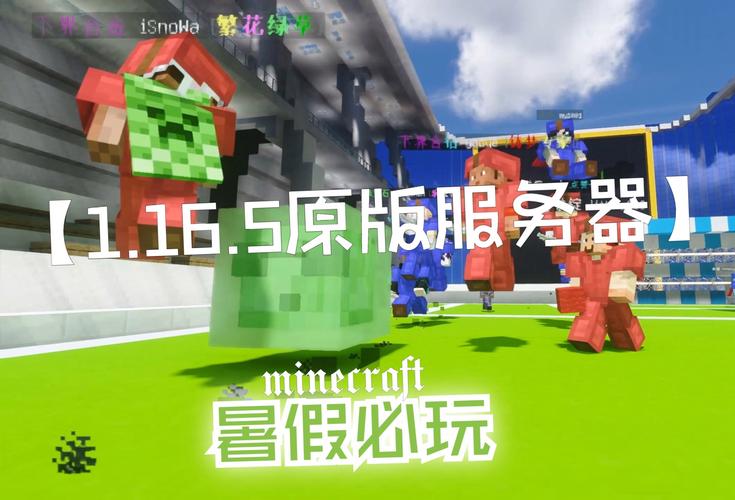 我的世界都有什么样的服务器