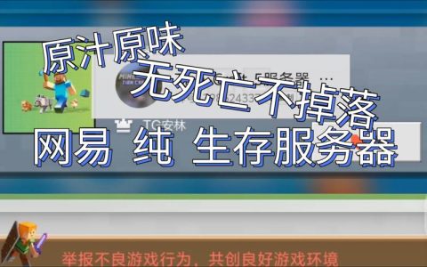 纯生存服务器永不关闭的含义是什么？