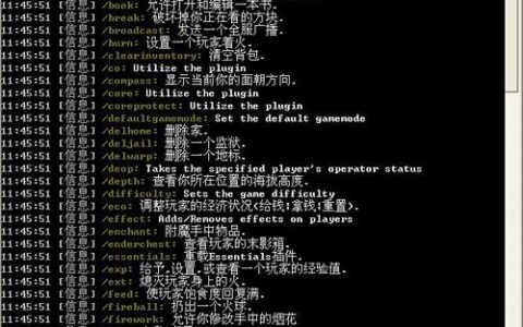 如何利用MC服务器指令创建自定义游戏策略？
