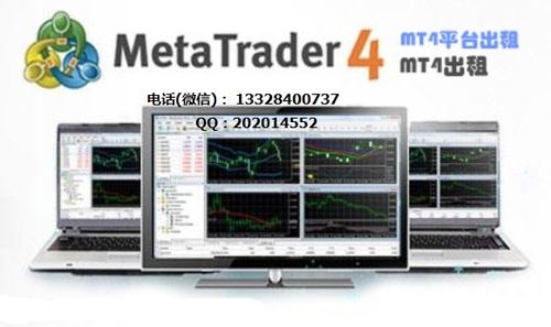 mt4服务器出租_资源出租