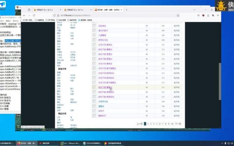 网游单机版服务器名称有哪些独特命名方式?
