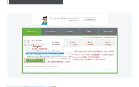 如何正确安装并登录MongoDB数据库？
