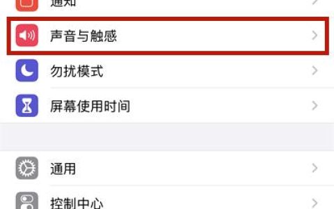 如何调整iPhone 11的通话音量？