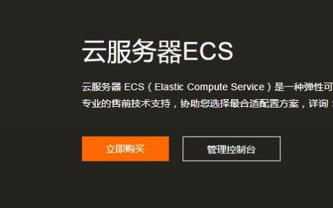 What is the English term for a cloud server?