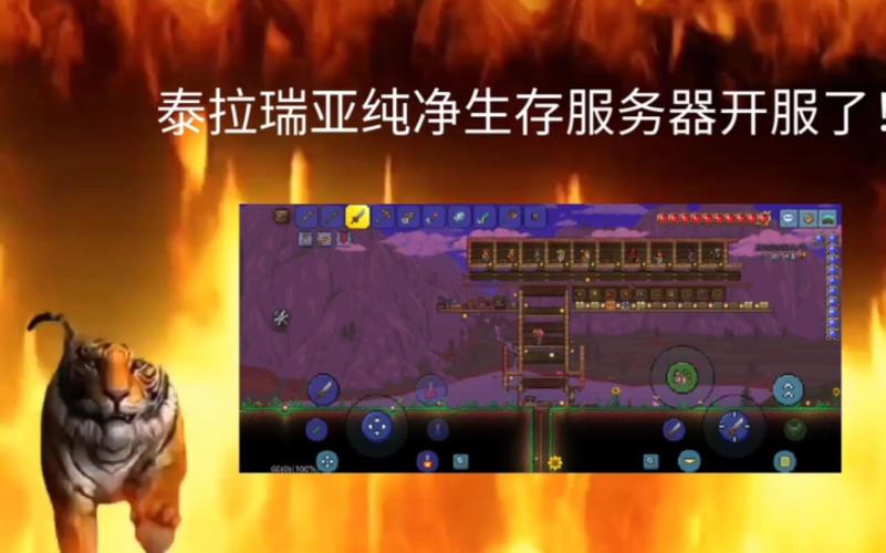 泰拉瑞亚什么是服务器端口