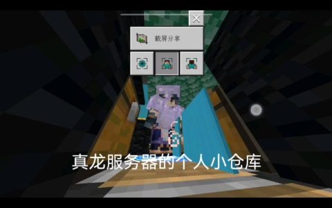 龙之谷服务器仓库功能解析，它到底能为玩家带来哪些便利？