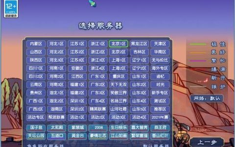 梦幻岛中的服务器购买之谜，究竟隐藏了哪些秘密？