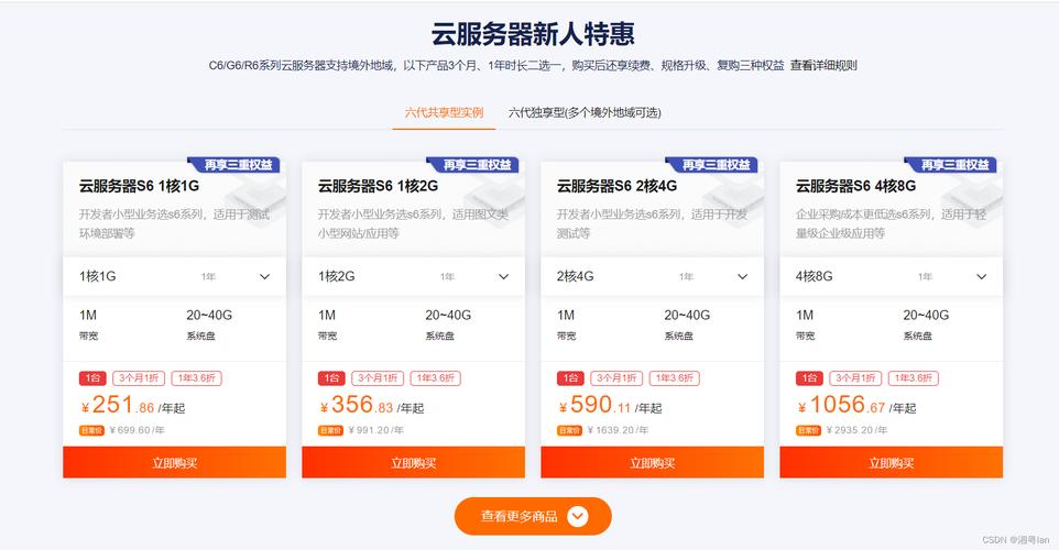 新人建一个网站买个什么服务器