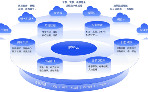 如何实现财务独立的免费独立云主机服务？
