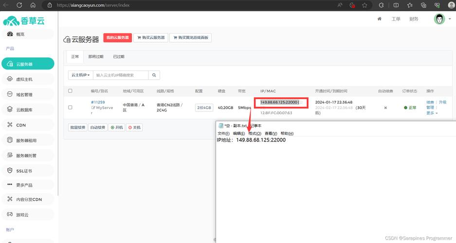 阿里云的域名解析服务器是什么