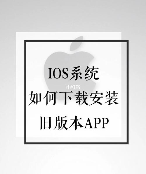 到哪里下载安装版系统