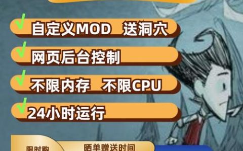 在饥荒游戏中租用云服务器，哪些因素需要考虑以确保最佳性能？
