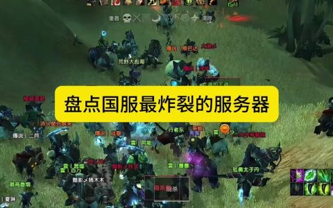 为什么国服需要如此多的服务器？