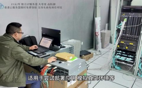 双核2GB内存服务器的潜能，它能承载哪些项目？