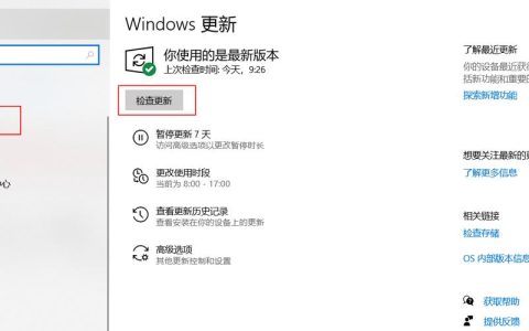 如何查找Windows 10系统中的更新检查选项？